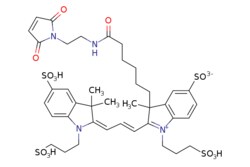 eMolecules​ Broadpharm / BP Fluor 555 Maleimide / 1mg / 599128651 / BP-25563
