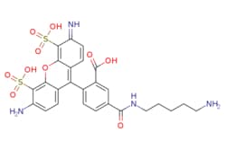 eMolecules​&nbsp;Broadpharm / BP Fluor 488 Cadaverine / 1mg / 599128611 / BP-25549 / 95.000 / 1178534-61-6 / [null] / 618.630 / C26H26N4O10S2