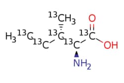 eMolecules​ 201740-82-1 | Medchem Express | L-Isoleucine-13C6 | 1mg | 789373946