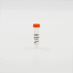 Revvity Health Sciences Inc Tag-lite pT8-CLIP (Hygromycin) Plasmid, 10 Âµg