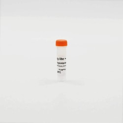 Revvity Health Sciences Inc&nbsp;Tag-lite pT8-HaloTag (Hygromycin) Plasmid, 10 Âµg