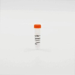 Revvity Health Sciences Inc Tag-lite pT8-SNAP (Hygromycin) Plasmid, 10 Âµg