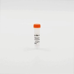 Revvity Health Sciences Inc Tag-lite pT8-SNAP (Neomycin) Plasmid, 10 Âµg