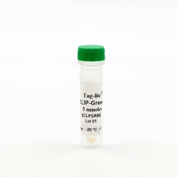 Revvity Health Sciences Inc Tag-lite CLIP-Green Labeling Reagent, 500 nmoles,