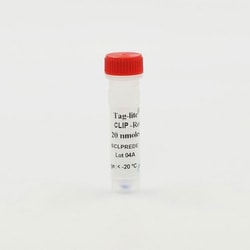 Revvity Health Sciences Inc Tag-lite CLIP-Red Labeling Reagent, 500 nmoles,
