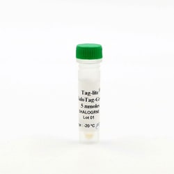Revvity Health Sciences Inc Tag-lite HaloTag-Green Labeling Reagent, 5