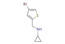 eMolecules​ 1040047-46-8 | ChemScene | n-((4-Bromothiophen-2-yl)methyl)cyclopropanamine