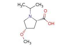 eMolecules​&nbsp;AstaTech / (2S4S)-1-ISOPROPYL-4-METHOXY-PROLINE / 0.25g / 200612060 / 62884 / 97.000 / 1820571-30-9 / MFCD11053655 / 187.239 / C9H17NO3