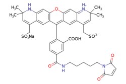 eMolecules​&nbsp;Broadpharm / BP Fluor 568 Maleimide / 1mg / 599128665 / BP-25567 /  /  / [null] / 880.920 / C42H41N4NaO12S2