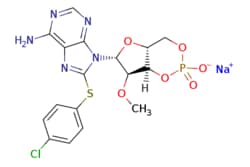 eMolecules​&nbsp;Medchem Express / 8-CPT-2Me-cAMP (sodium) / 1mg / 761953482 / HY-107543 /  / 634207-53-7 / MFCD04974491 / 507.820 / C17H16ClN5NaO6PS