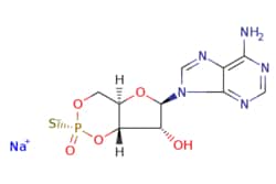 eMolecules​&nbsp;Medchem Express / Rp-cAMPS (sodium salt) / 1mg / 632433127 / HY-100530D /  / 142439-94-9 / [null] / 367.250 / C10H11N5NaO5PS