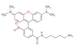 eMolecules​&nbsp;Broadpharm / 6-TAMRA Cadaverine TFA salt / 5mg / 761707304 / BP-29539 / 98.000 / 709025-58-1 / [null] / 514.626 / C30H34N4O4