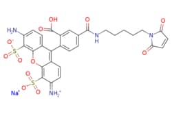 eMolecules​&nbsp;Broadpharm / BP Fluor 488 Maleimide / 1mg / 591908398 / BP-25506 / 97.000 /  / [null] / 720.660 / C30H25N4NaO12S2