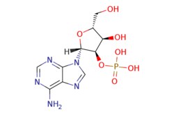 eMolecules​&nbsp;Medchem Express / Adenosine-2-monophosphate / 10mg / 694124942 / HY-124151 /  / 130-49-4 / [null] / 347.224 / C10H14N5O7P