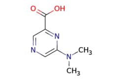 eMolecules​ AstaTech / 6-(DIMETHYLAMINO)PYRAZINE-2-CARBOXYLIC ACID / 0.1g