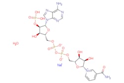 eMolecules​ Broadpharm / beta-Nicotinamide adenine dinucleotide phosphate