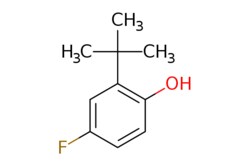 eMolecules​&nbsp;AOBChem USA / 2-(Tert-butyl)-4-fluorophenol / 250mg / 632821964 / 57706 /  / 357611-22-4 / MFCD16657844 / 168.211 / C10H13FO