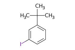 eMolecules​ 58164-02-6 | Ambeed | 1-(tert-Butyl)-3-iodobenzene | 5g | 682930632