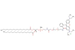 eMolecules​&nbsp;Broadpharm / DSPE-Amide-PEG-Rhodamine MW 2000 / 5mg / 795361903 / BP-40234 /  /  / [null] / 1376.220 / C75H121ClN4NaO13P