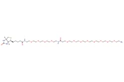 eMolecules​ Broadpharm / Biotin-PEG4-Amide-PEG8-Amine / 50mg / 795361900