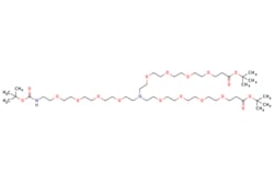 eMolecules​ Broadpharm / Tri(N-BOC-PEG4-ethyloxyethyl)amine / 100mg / 795361893