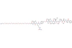 eMolecules​ Broadpharm / Amine-PEG8-Val-Cit-PAB-MMAE / 1mg / 795361816