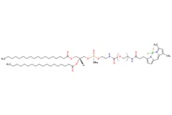 eMolecules​ Broadpharm / DSPE-PEG-BDP FL MW 2000 / 5mg / 795361641 / BP-40139