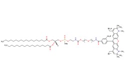 eMolecules​&nbsp;Broadpharm / DSPE-PEG-Fluor 594 MW 2000 / 5mg / 795361584 / BP-40121 /  /  / [null] / 1605.960 / C81H122N4NaO21PS2