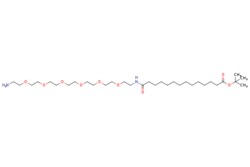 eMolecules​ Broadpharm / 14-(Amine-PEG6-ethylcarbamoyl)tridecanoic-t-butyl