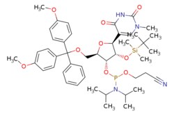 eMolecules​ Broadpharm / 5-O-DMTr-2-O-TBDMS-N 1 -methylpseudouridine 3-(cyanoethyl-NN-diisopropyl)phosphoramidite