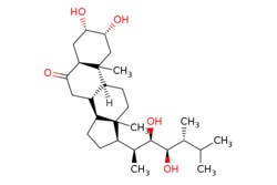 eMolecules​&nbsp;Medchem Express / 24-Epicastasterone / 5mg / 779534311 / HY-N10455 /  / 72050-71-6 / MFCD18642007 / 464.687 / C28H48O5