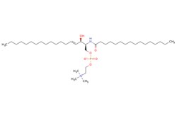 eMolecules​ Broadpharm / C16 Sphingomyelin (d181/160) / 5mg / 779524240