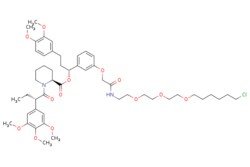 eMolecules​ Medchem Express | PhosTAC3 | 5mg | 771358912 | HY-148508 |