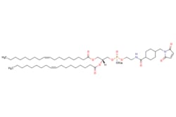 eMolecules​ Broadpharm / 181 PE MCC / 5mg / 771351527 / BP-28329 / / 384847-49-8