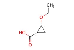eMolecules​&nbsp;AstaTech / 2-ETHOXYCYCLOPROPANE-1-CARBOXYLIC ACID / 0.1g / 771348171 / C77470 / 95.000 / 53381-05-8 / MFCD11858184 / 130.143 / C6H10O3