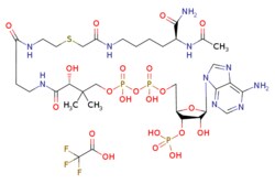 eMolecules​ Medchem Express | Lys-CoA (TFA) | 1mg | 769193333 | HY-131035
