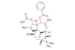 eMolecules​ 133898-77-8 | Medchem Express | Kansuiphorin C | 5mg | 761738439