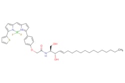 eMolecules​ Broadpharm / BDP TR ceramide / 250ug / 761705917 / BP-28975