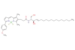 eMolecules​ Broadpharm / BDP TMR ceramide / 250ug / 761705916 / BP-28974