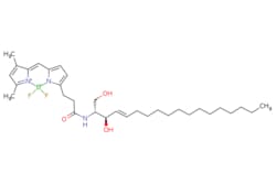 eMolecules​ Broadpharm / BDP FL ceramide / 250ug / 761705915 / BP-28973