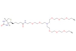 eMolecules​&nbsp;Broadpharm / N-(Biotin-PEG2)-N-Bis(PEG3-azide) / 25mg / 761705491 / BP-28407 / 98.000 /  / [null] / 776.950 / C32H60N10O10S