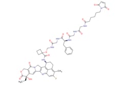 eMolecules​ 2414393-22-7 | Medchem Express | MC-Gly-Gly-Phe-Gly-Cyclobutanecarboxylic-Exatecan