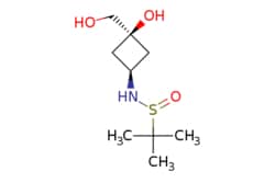 eMolecules​ AstaTech / TRANS-N-(3-HYDROXY-3-(HYDROXYMETHYL)CYCLOBUTYL)-2-METHYLPROPANE-2-SULFINAMIDE