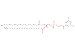 eMolecules​ Broadpharm / 160 Cyanur PE / 25mg / 718091975 / BP-28344 /