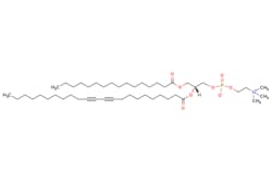 eMolecules​&nbsp;Broadpharm / PTPC / 25mg / 718091956 / BP-28326 /  / 84271-00-1 / [null] / 824.178 / C47H86NO8P
