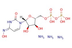 eMolecules​&nbsp;Medchem Express / NHC-diphosphate (triammonium) / 1mg / 649808954 / HY-135867F /  /  / [null] / 470.269 / C9H24N6O12P2