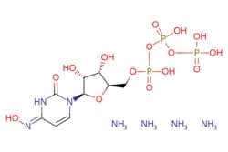 eMolecules​ Medchem Express | NHC-triphosphate (tetraammonium) | 1mg |