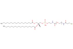 eMolecules​ Broadpharm / DSPE-PEG-SH MW 1000 / 100mg / 649282204 / BP-26235