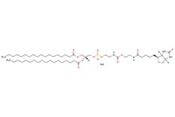 eMolecules​&nbsp;Broadpharm / DSPE-PEG-Biotin MW 5000 / 50mg / 627958486 / BP-25690 / 90.000 /  / [null] / 1083.430 / C54H100N4NaO12PS