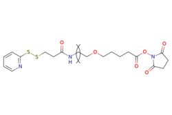 eMolecules​&nbsp;Broadpharm / SPDP-PEG-Succinimidyl Valerate MW 5000 / 500mg / 627958335 / BP-25336 /  /  / [null] / 455.540 / C19H25N3O6S2